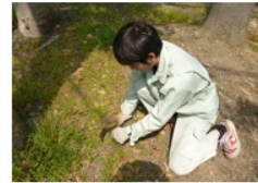 草刈り