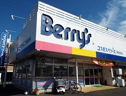 コスモスベリーズ静岡豊田店駅南