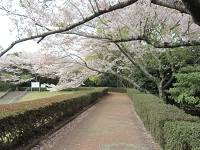 県立大学芝生園地エガワ新聞堂